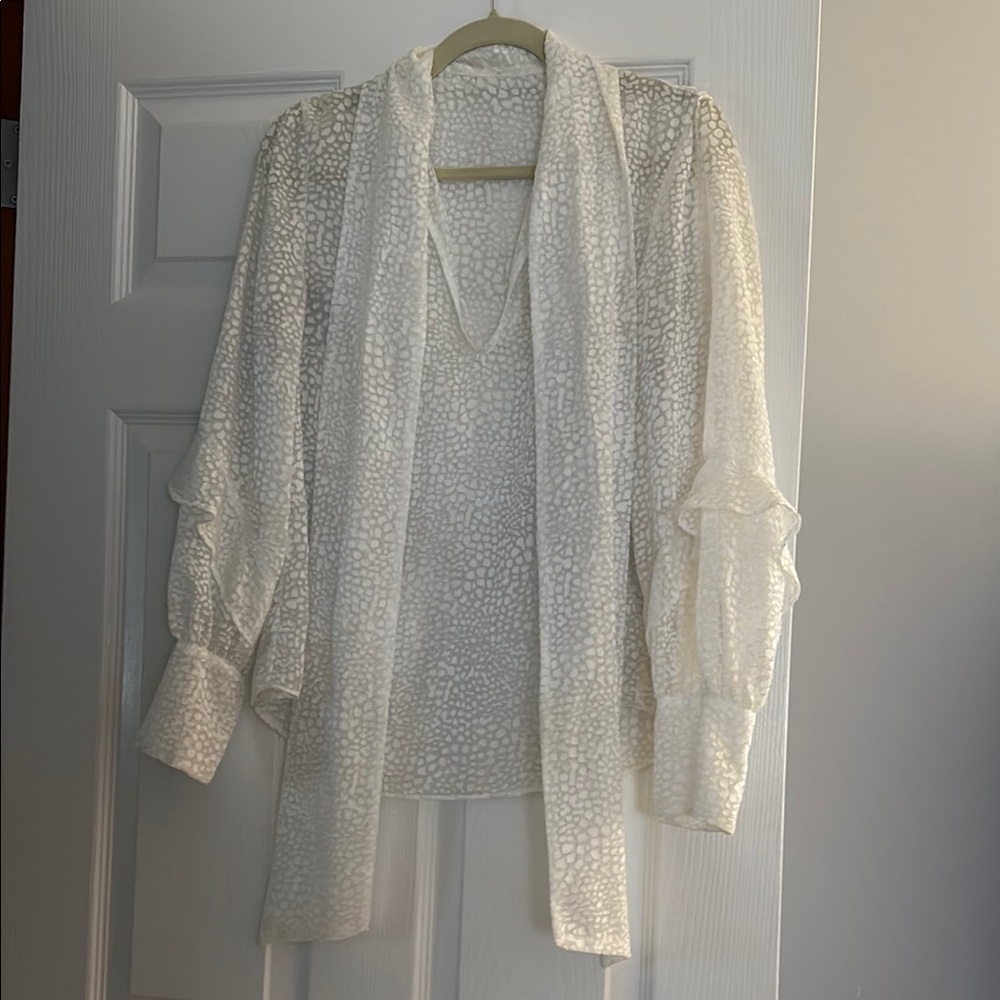 Elegant Sheer White Blouse